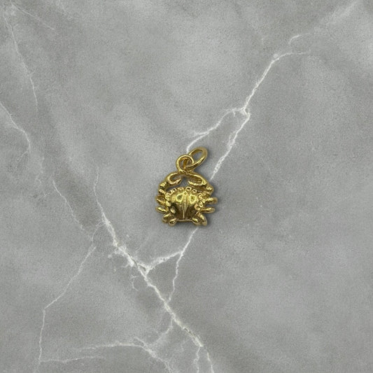 Anhänger FURY 🦀✨