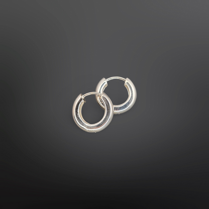 ELODIA Hoop Earrings✨