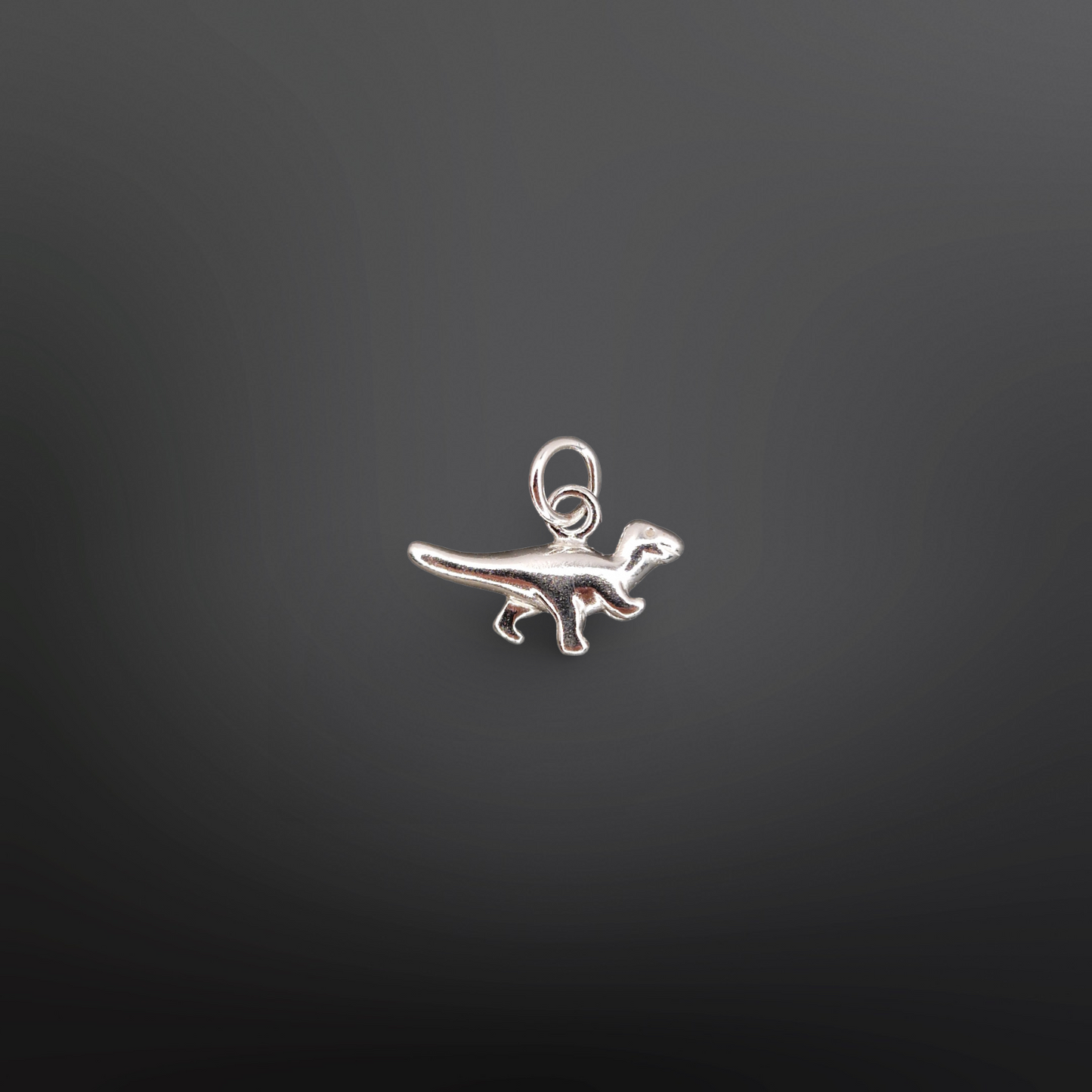 DINOLINO Charm🦕✨