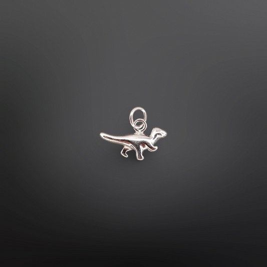 DINOLINO Charm🦕✨