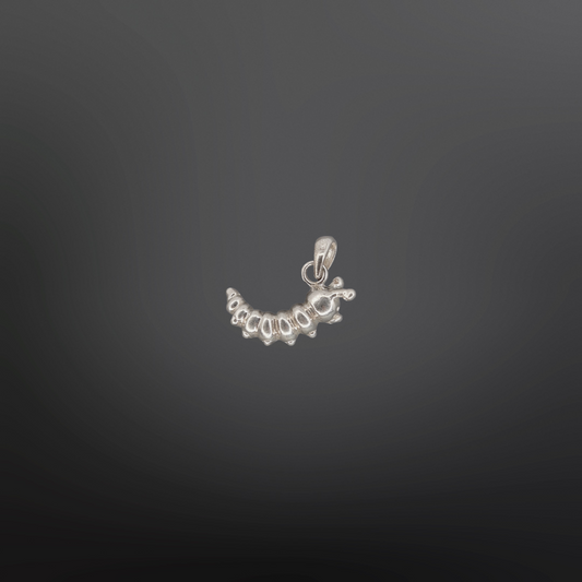 Anhänger RAMIRA🐛✨