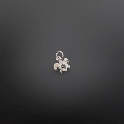 CRUSH Charm
