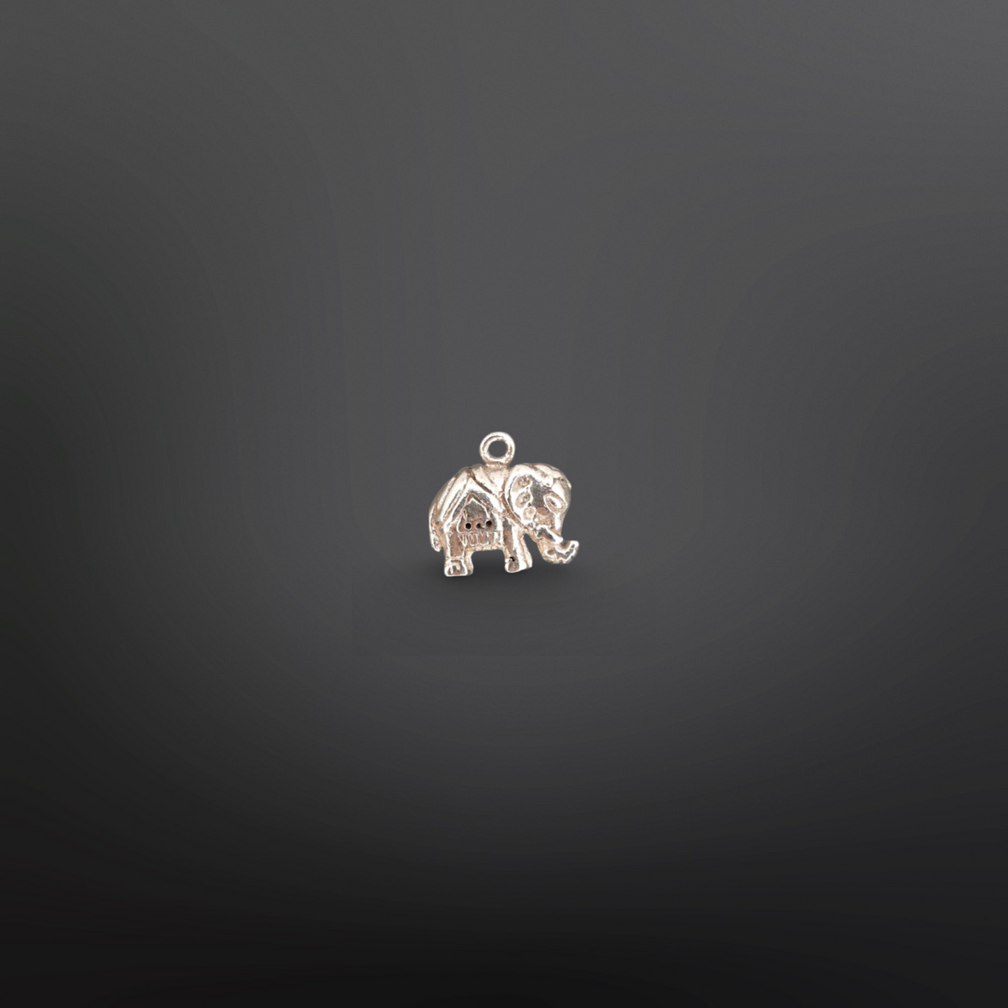 Benjamin Charm🐘✨