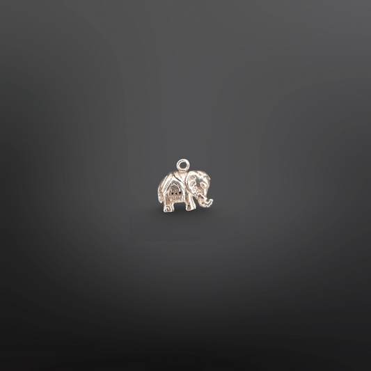 Benjamin Charm🐘✨