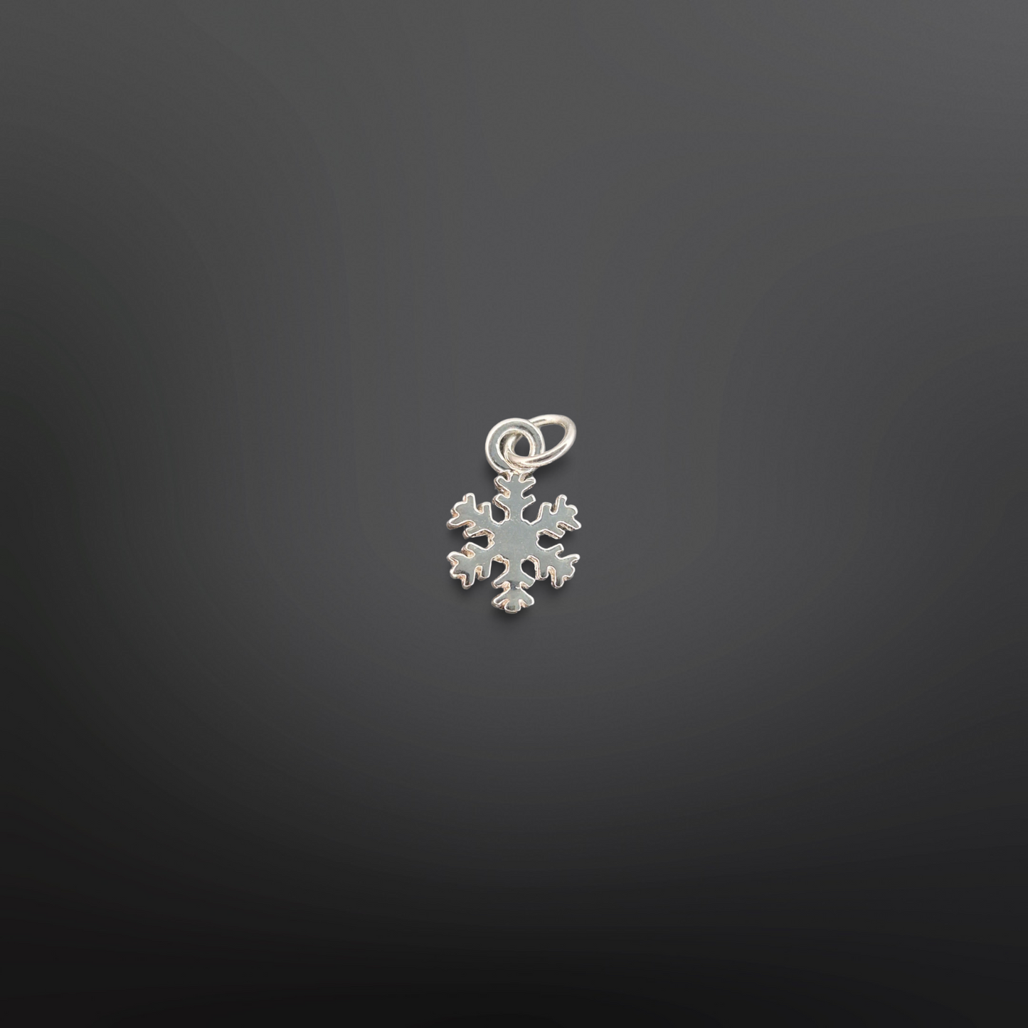 SNOWFLAKE Charm