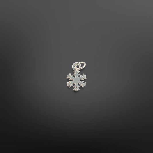SNOWFLAKE Charm❄️✨