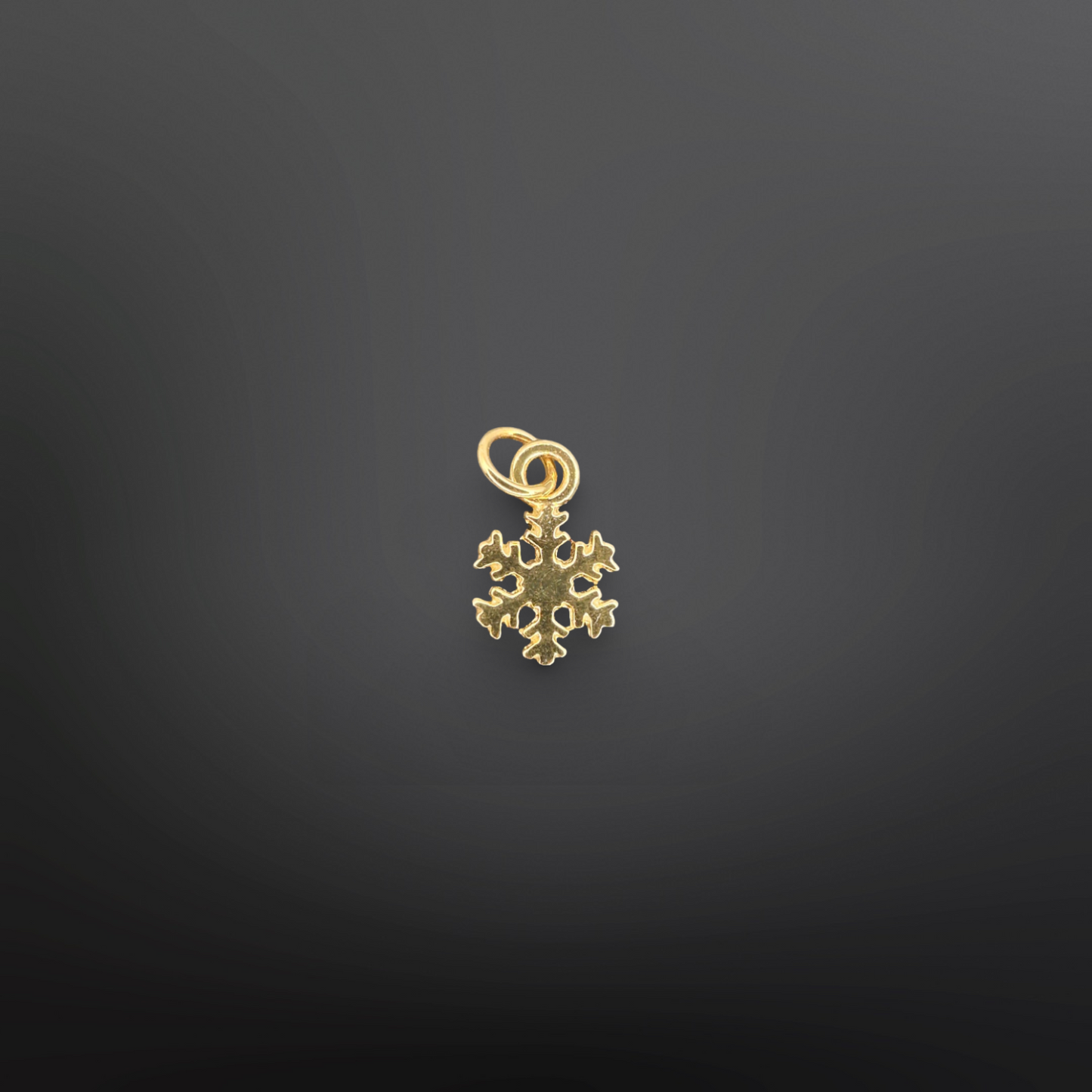 SNOWFLAKE Charm❄️✨