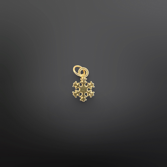 SNOWFLAKE Charm❄️✨