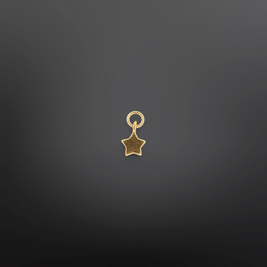 VANESSA Charm⭐️✨