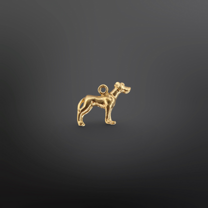 CAPPU Charm