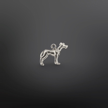 CAPPU Charm