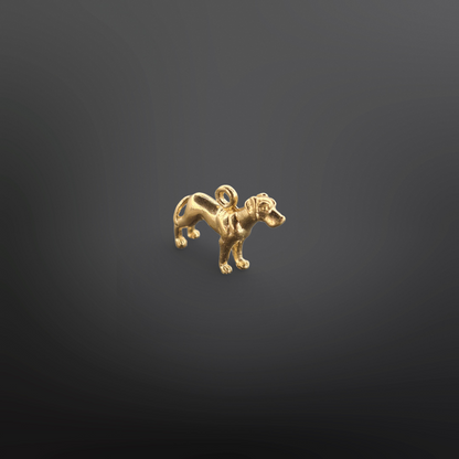 CAPPU Charm