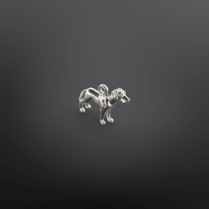 CAPPU Charm