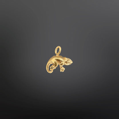 CHICO Charm