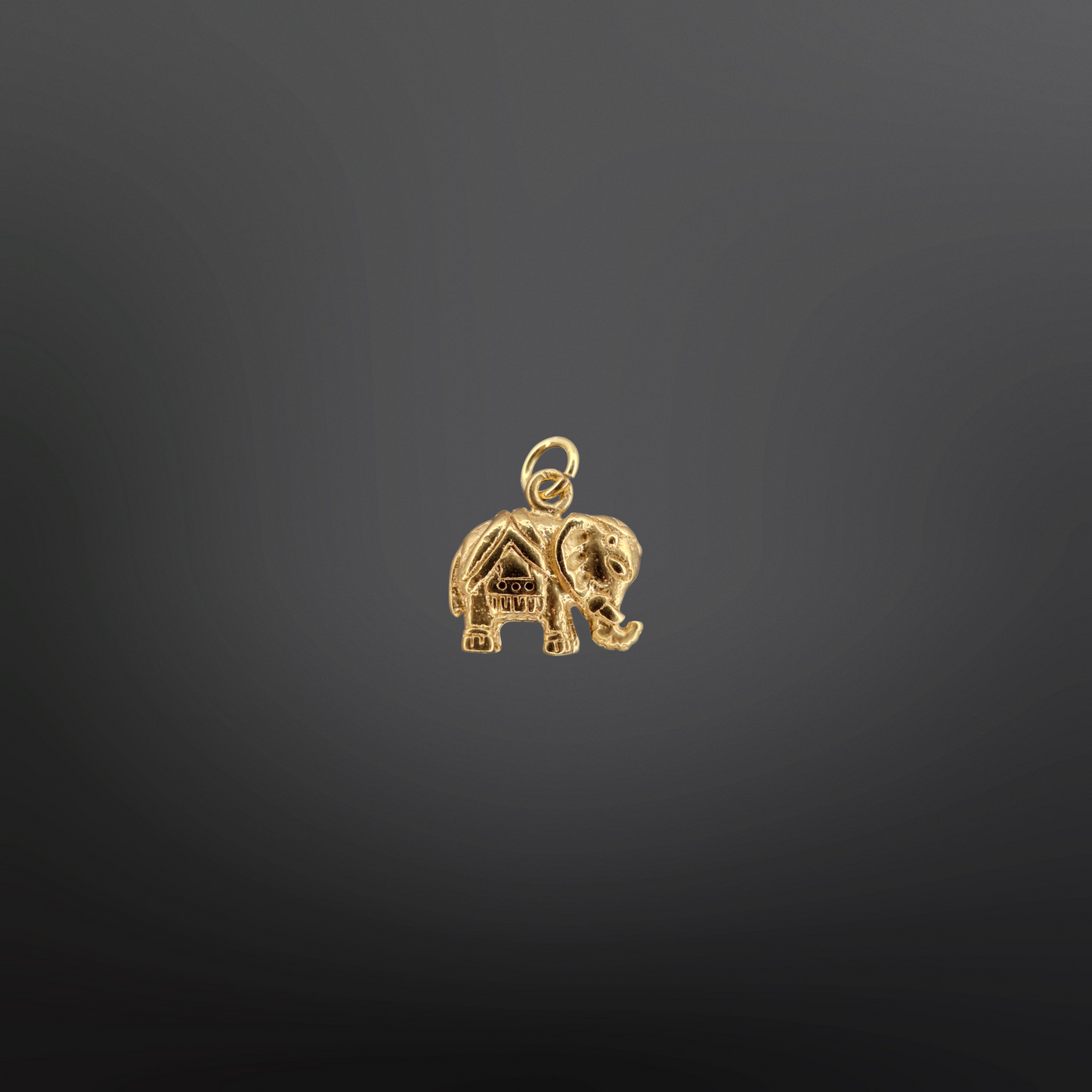 BENJAMIN Charm🐘✨