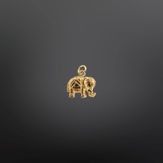 BENJAMIN Charm🐘✨