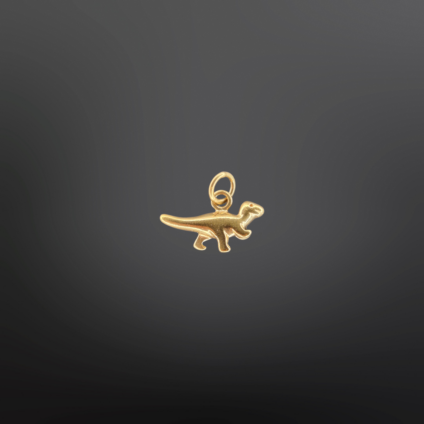 DINOLINO Charm🦕✨