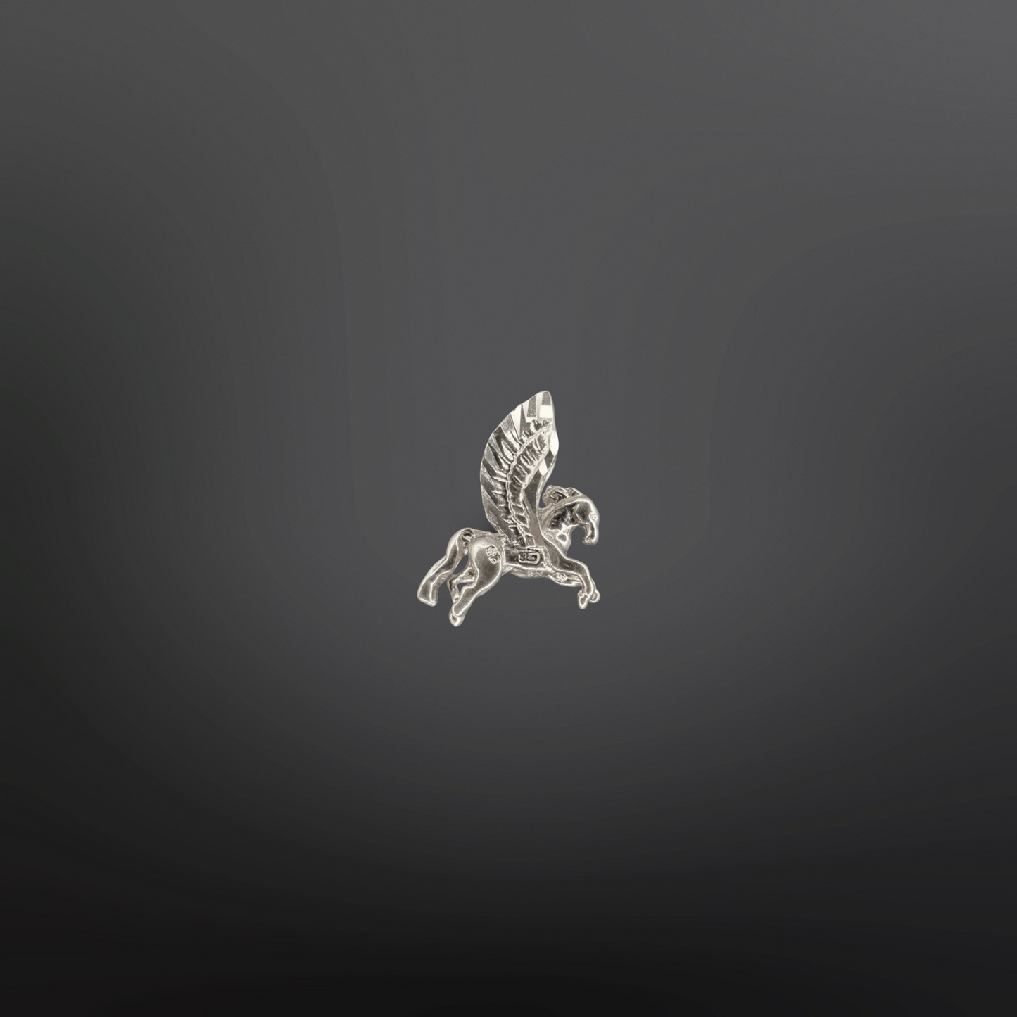 PEGASUS Charm🪽✨