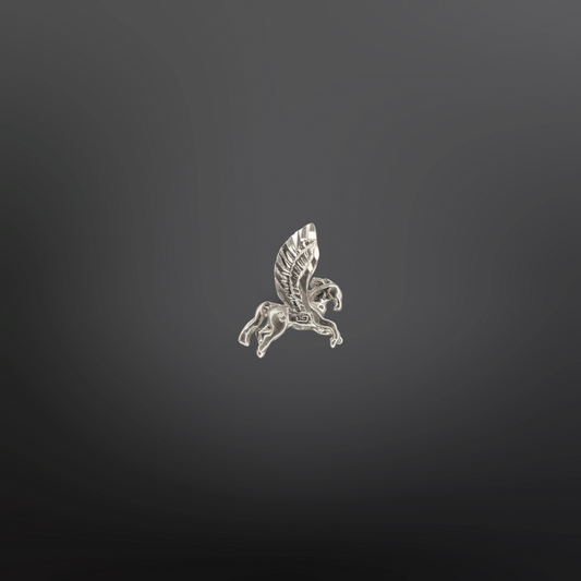 PEGASUS Charm🪽✨