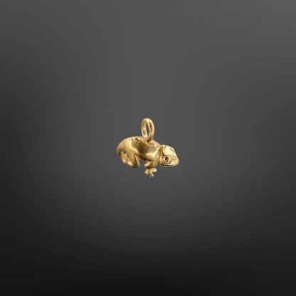CHICO Charm