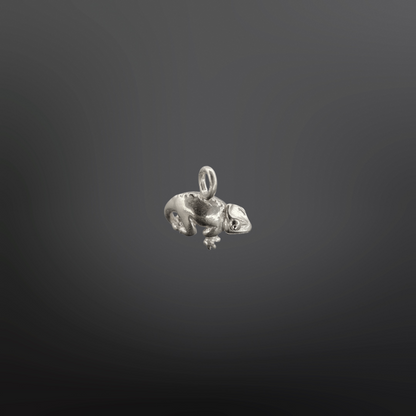 CHICO Charm