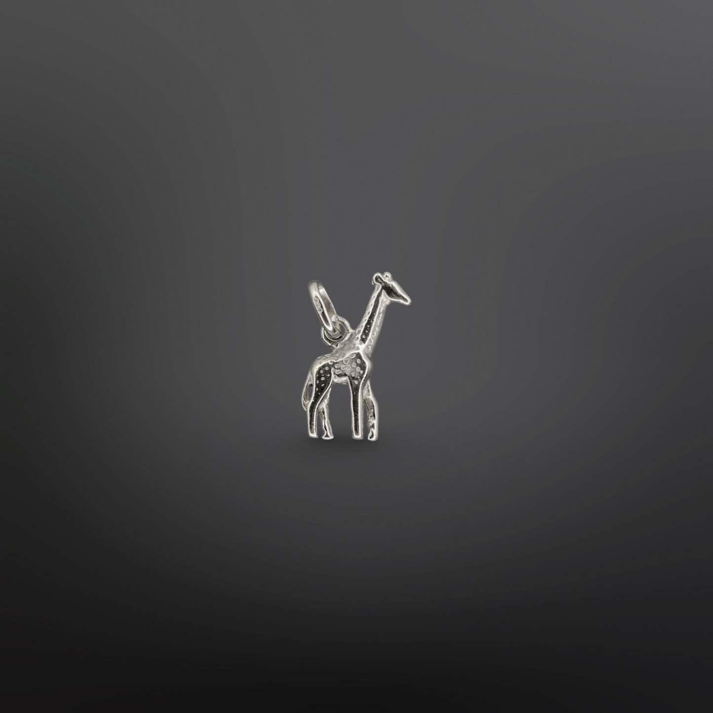 SÄMI Charm