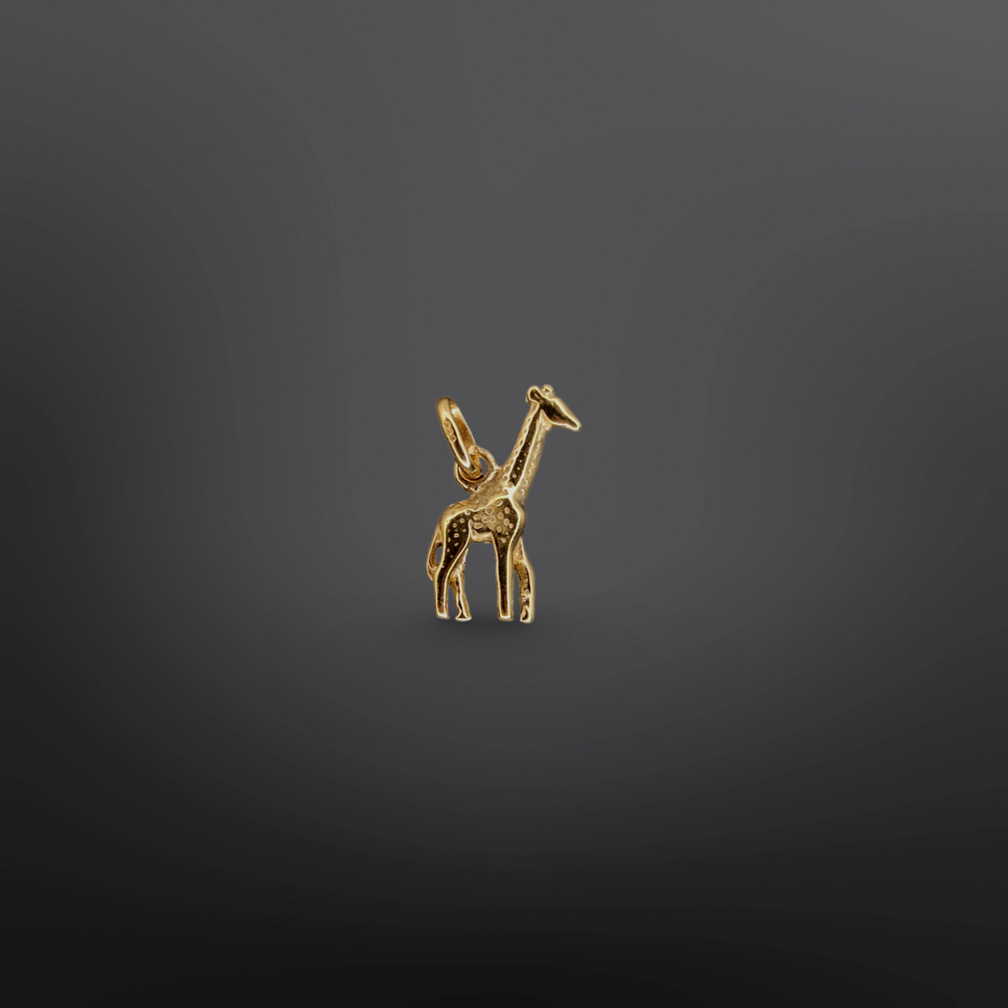 SÄMI Charm
